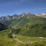 Riale