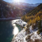 Larici colorati