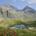 Vista sul Piz Julier