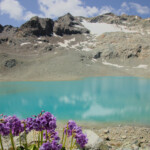 Viola e azzurro