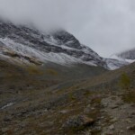 Salendo la morena