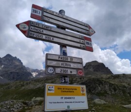 Passo di Verva