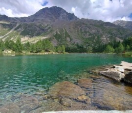 Lago Acque Sparse