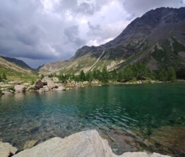 Lago Acque Sparse