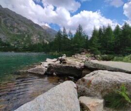 Lago Acque Sparse
